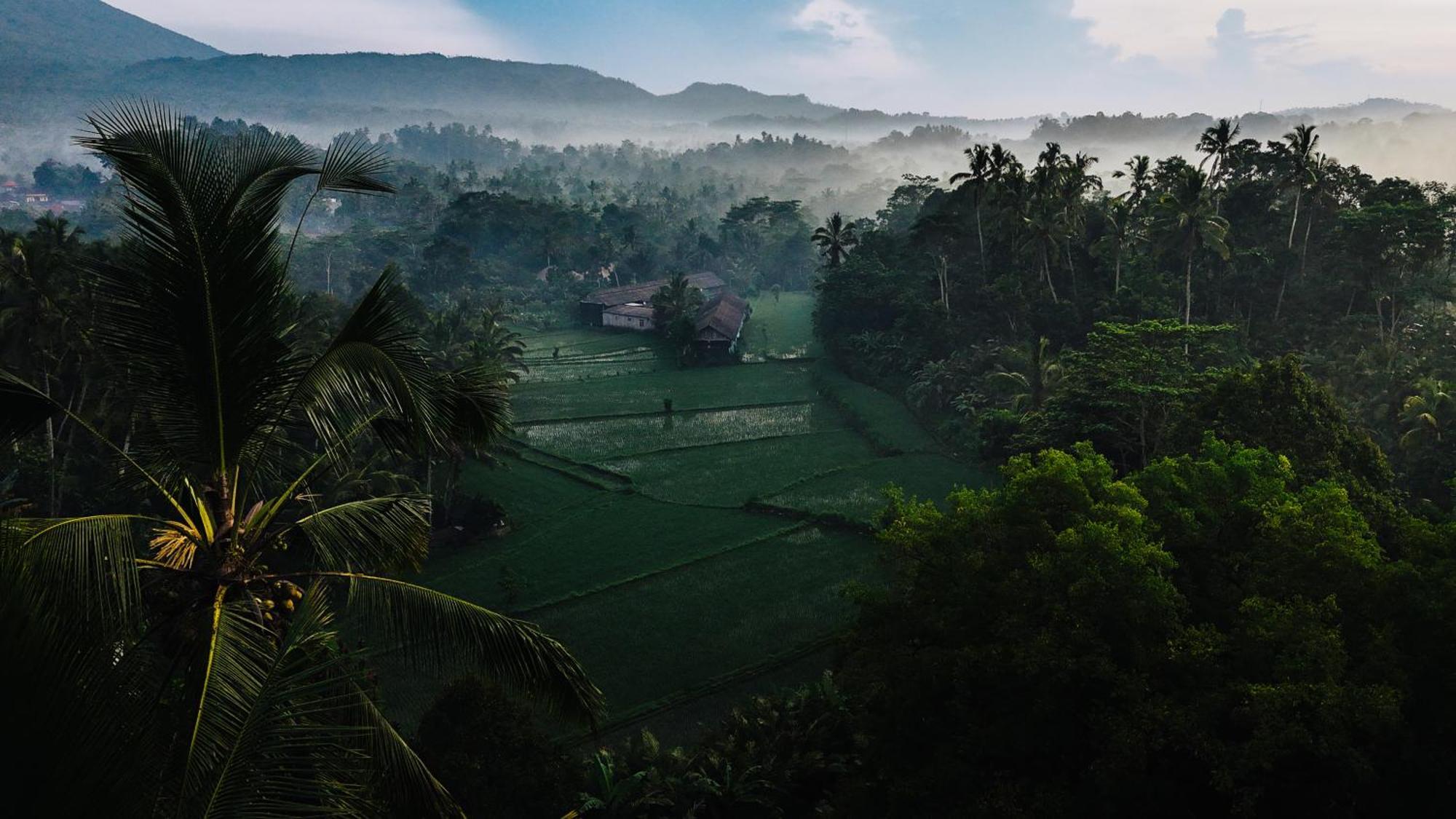 Arcada Bali Bamboo House Sidemen (Bali) Exterior foto